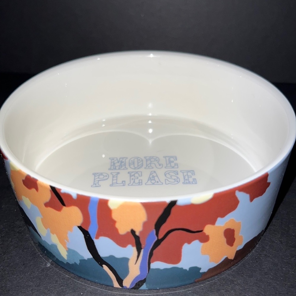 Trey Speegle original artwork “MORE PLEASE” ceramic dog bowl